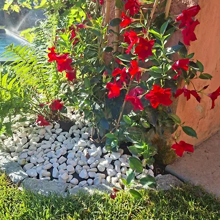 Lu Con Idromassaggio E Piscina * Carignano (Piedmont)